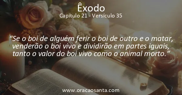 Êxodo 21:35