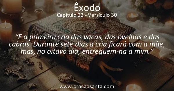 Êxodo 22:30