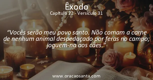Êxodo 22:31