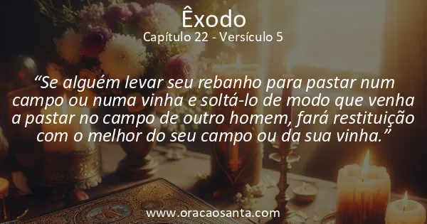 Êxodo 22:5