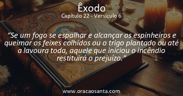 Êxodo 22:6