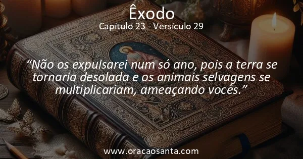 Êxodo 23:29