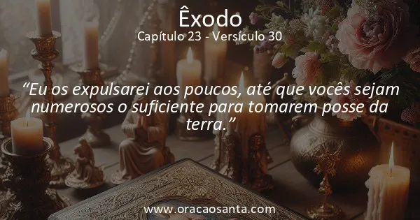 Êxodo 23:30