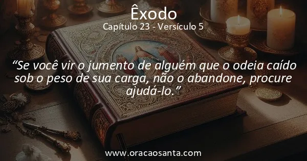 Êxodo 23:5