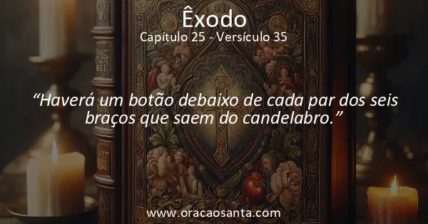 Êxodo 25:35