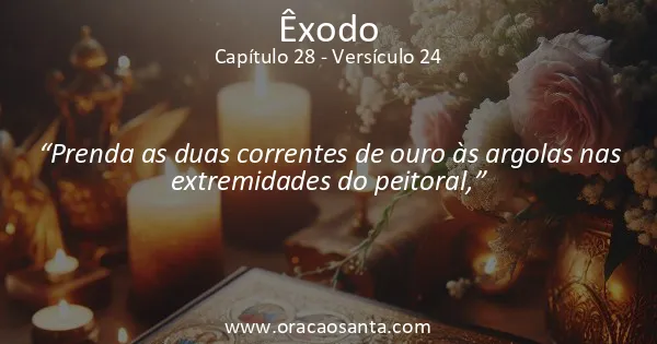 Êxodo 28:24
