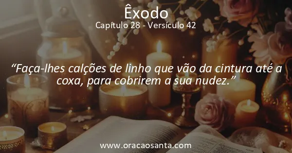 Êxodo 28:42