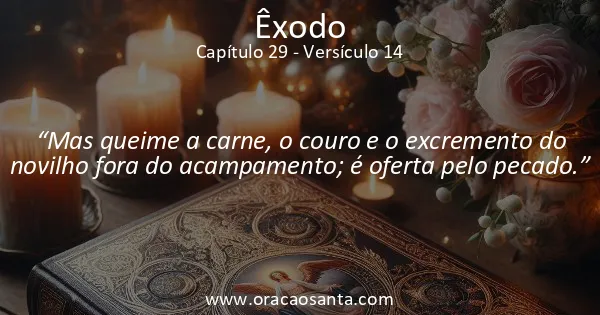 Êxodo 29:14