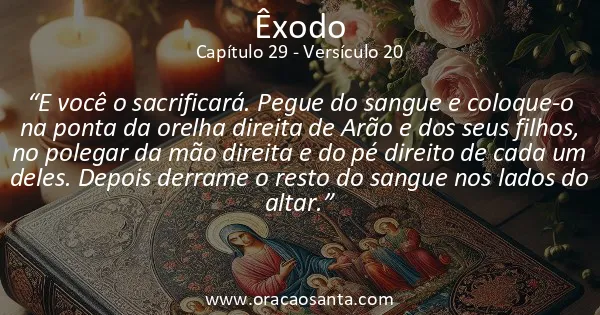 Êxodo 29:20