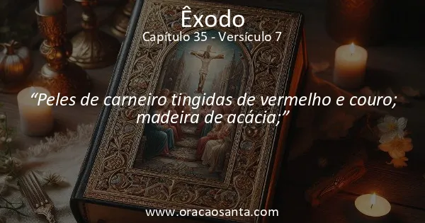 Êxodo 35:7