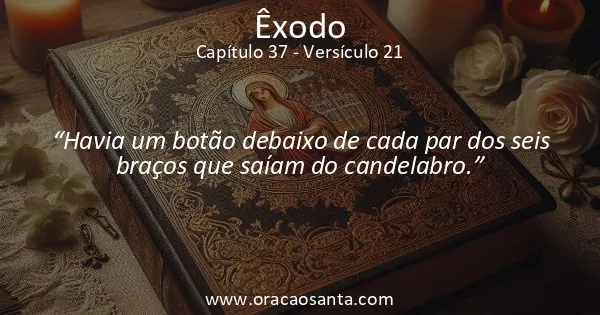 Êxodo 37:21