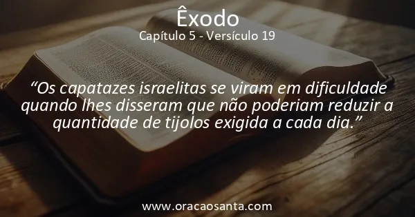 Êxodo 5:19