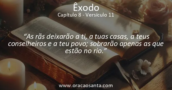 Êxodo 8:11