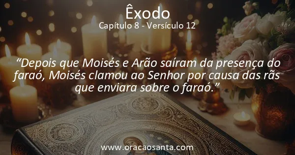 Êxodo 8:12