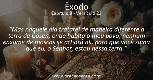 Êxodo 8:22