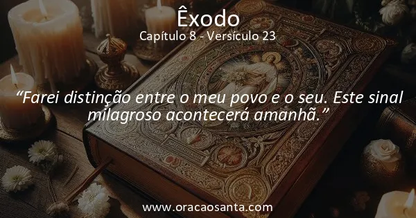 Êxodo 8:23