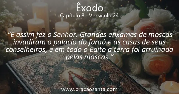 Êxodo 8:24
