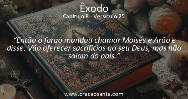 Êxodo 8:25