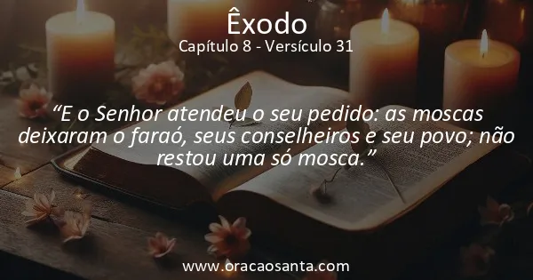 Êxodo 8:31