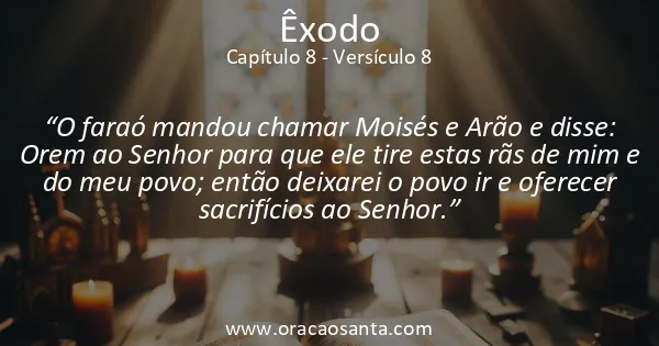Êxodo 8:8