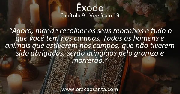 Êxodo 9:19