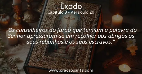Êxodo 9:20