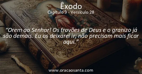 Êxodo 9:28