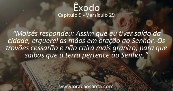 Êxodo 9:29