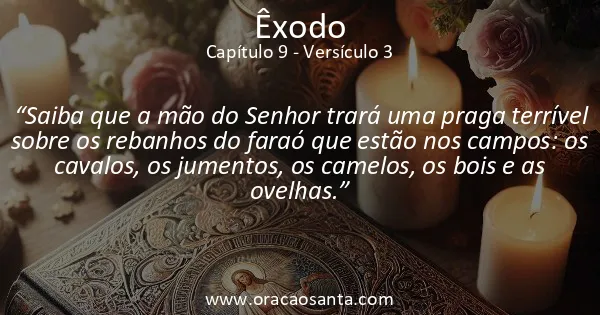 Êxodo 9:3