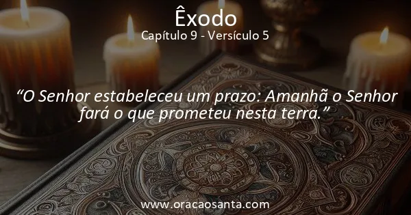 Êxodo 9:5