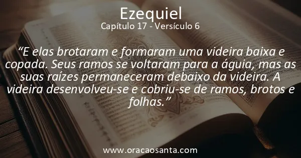 Ezequiel 17:6