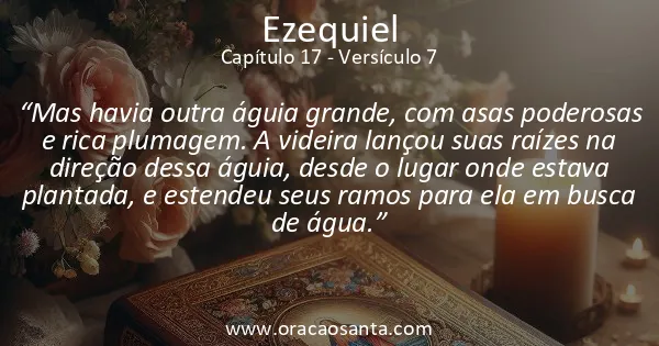 Ezequiel 17:7