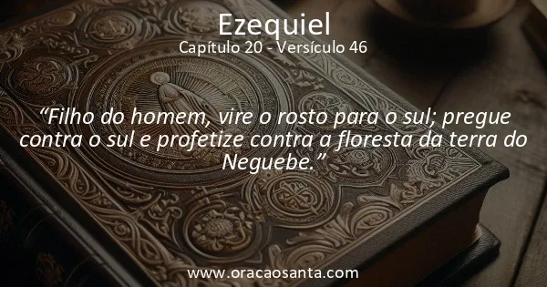Ezequiel 20:46