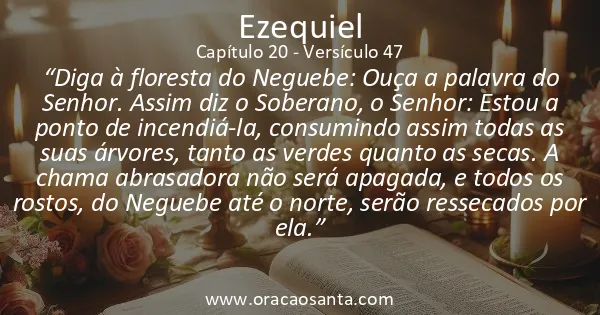 Ezequiel 20:47