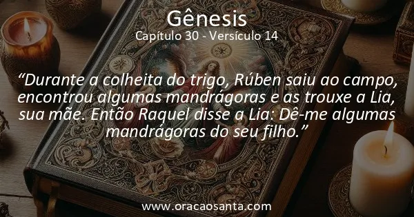 Gênesis 30:14