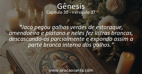 Gênesis 30:37