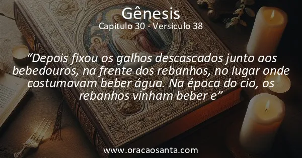 Gênesis 30:38
