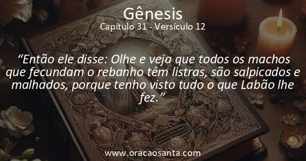 Gênesis 31:12