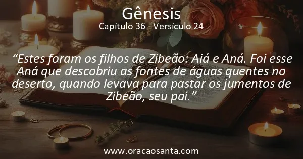 Gênesis 36:24