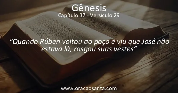Gênesis 37:29