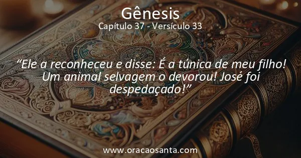 Gênesis 37:33