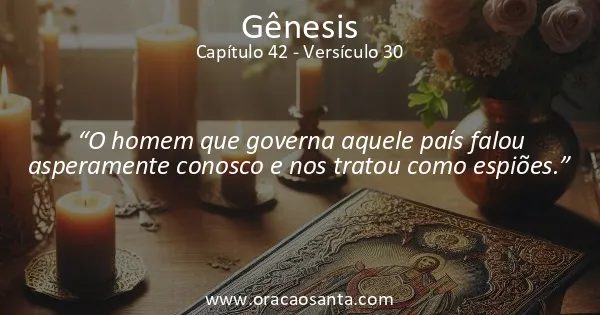 Gênesis 42:30
