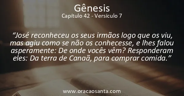 Gênesis 42:7