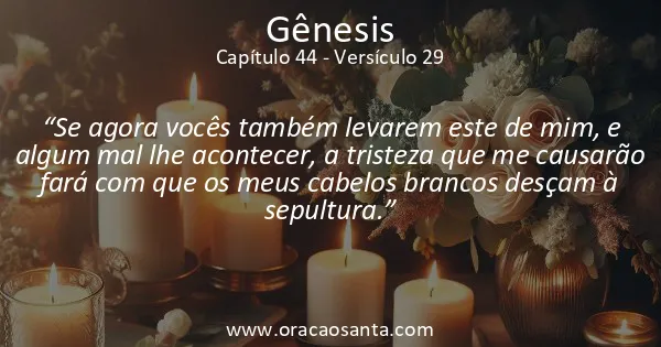 Gênesis 44:29