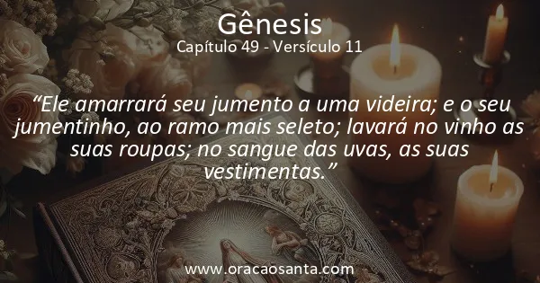 Gênesis 49:11