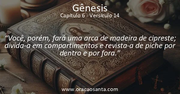 Gênesis 6:14
