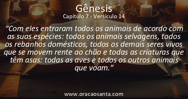 Gênesis 7:14