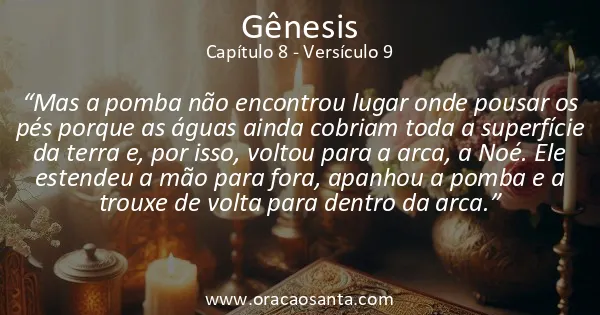 Gênesis 8:9