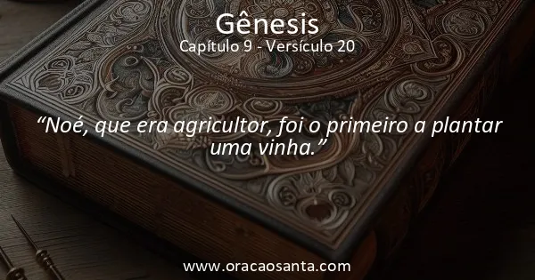 Gênesis 9:20