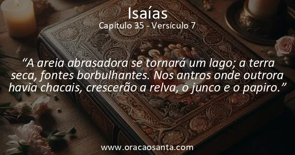 Isaías 35:7